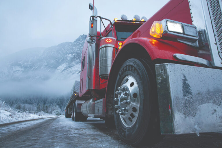 Diesel fuel additives for winter